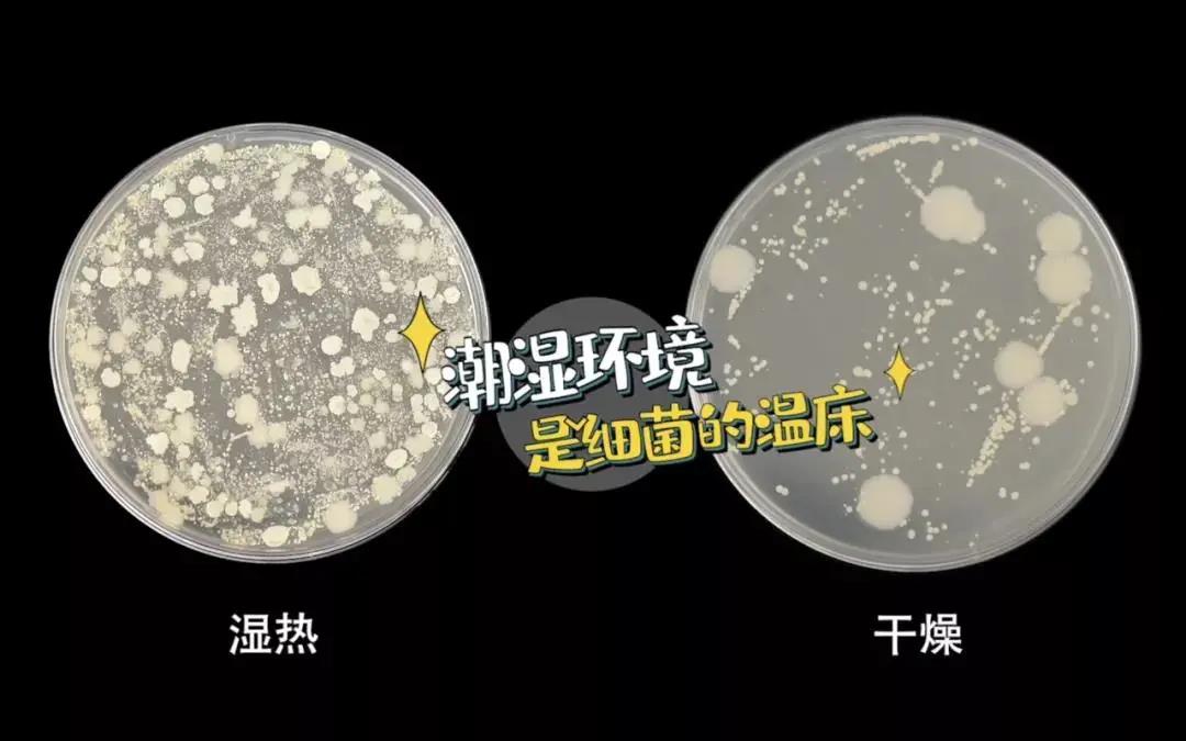 疫情反撲，居家防疫廚房重中之重！