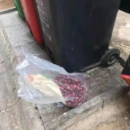 車?yán)遄幼杂闪藚s不敢吃？佳歌幫你另辟蹊徑暢享美食