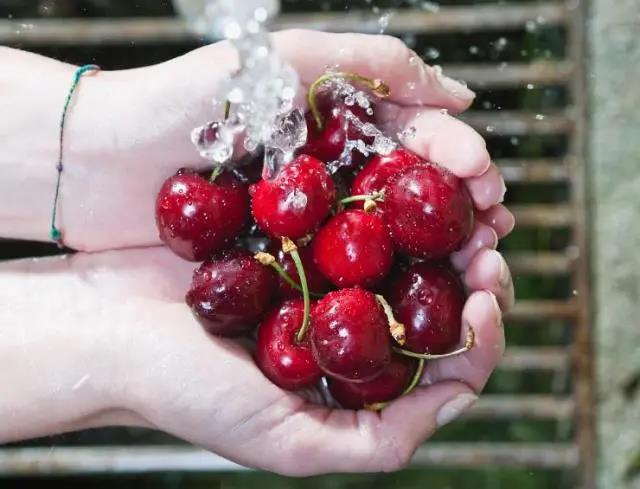 車?yán)遄幼杂闪藚s不敢吃？佳歌幫你另辟蹊徑暢享美食