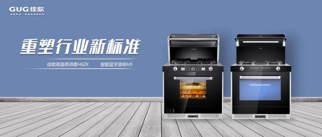 佳歌品牌代言人佟麗婭榮獲“微博年度之星”！