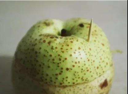 一雷驚蟄醒，今天要用什么來叫醒你的胃？