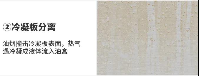 還地球一片綠色，佳歌與你一佟行動(dòng)！