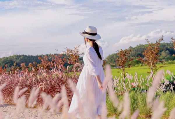 高品質(zhì)生活，佳歌集成灶你值得擁有！