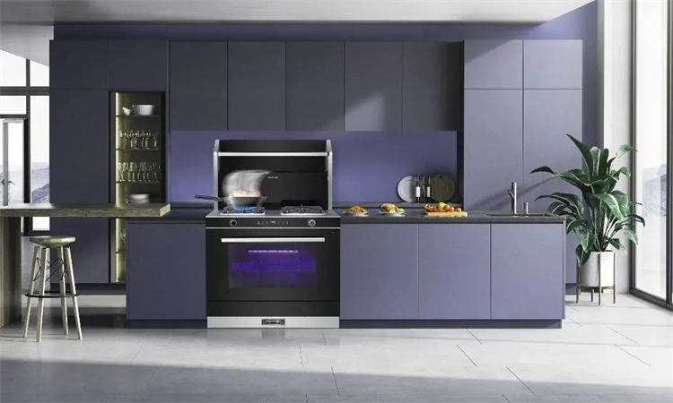 佳歌A5二星消毒柜款集成灶，守護(hù)家人的健康！