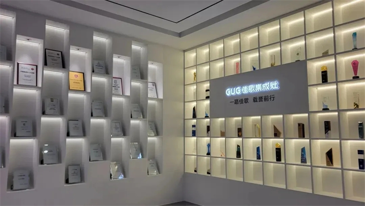 嵊州市委常委陳鑫云一行蒞臨佳歌二期智能化新工廠參觀考察！